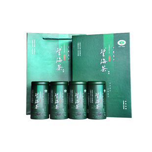 2025新绿茶叶 宁海望海茶明前特级礼盒250克高山耐泡宁波特产