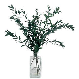 永生花尤加利叶细叶绿色插花植物干花高级感真花家居装饰叶百搭