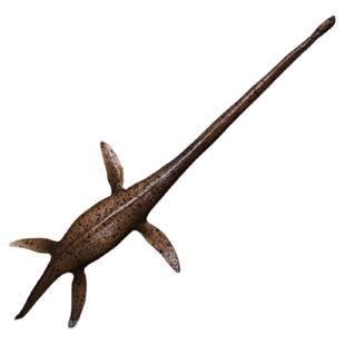 仿真海洋恐龙模型玩具 薄片龙 蛇颈龙科目 海洋生物玩具