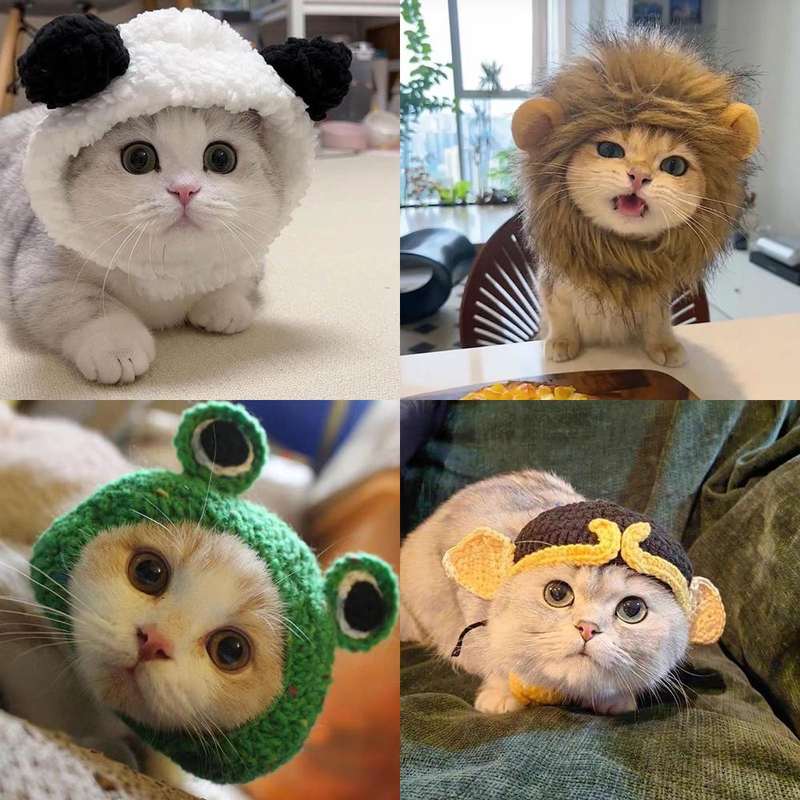 宠物帽子猫咪狮子头套金渐层小兔装饰狗狗搞怪变装帽配饰小猫拍照