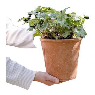 红陶多肉小花盆简约创意陶瓷花器粗陶陶土透气吸水泥瓦盆特价清仓