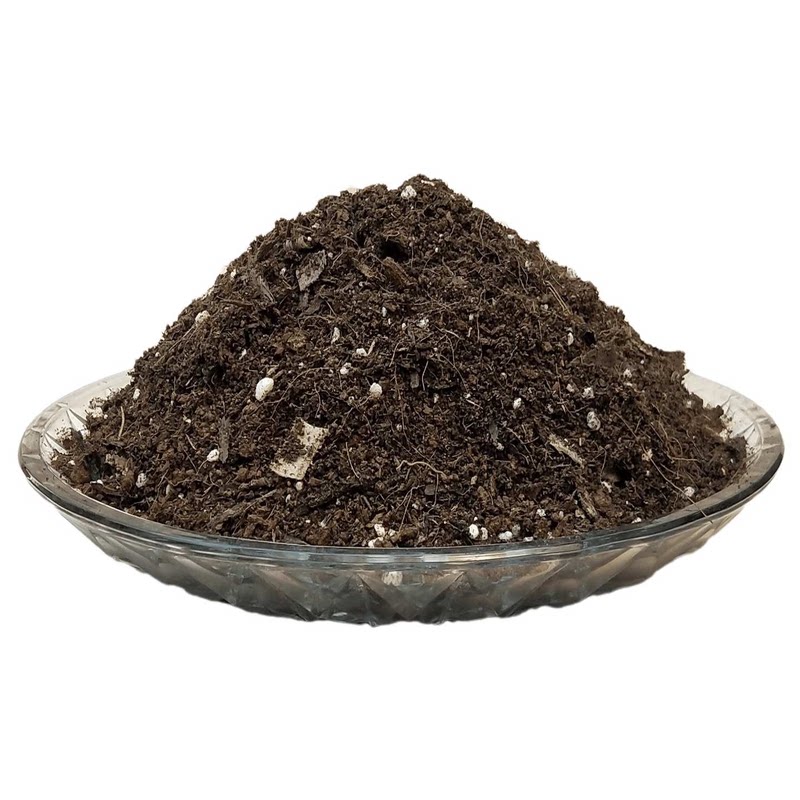 金枝玉叶马齿苋树营养椰砖土室内老桩盆景栽植专用种植土疏松透气