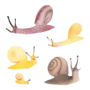 儿童玩具仿真爬行动物模型蜗牛微景观沙盘摆件启蒙认知教具小玩偶
