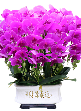 特大号仿真花高档手感蝴蝶兰家居客厅装饰花电视柜玄关茶几花艺