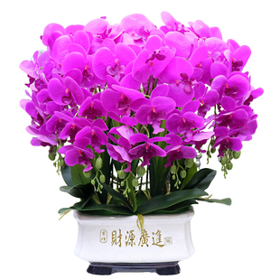 特大号仿真花高档手感蝴蝶兰家居客厅装饰花电视柜玄关茶几花艺
