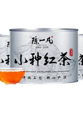 陈一凡正山小种 茶叶新茶浓香型 武夷夏季高山小种红茶高档圆罐装