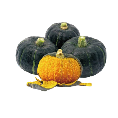 瓜果蔬菜种子夏季秋季菜园盆栽