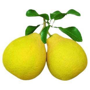 广西容县沙田柚新鲜纯甜水果白心柚子多汁当季时令孕妇整箱包邮