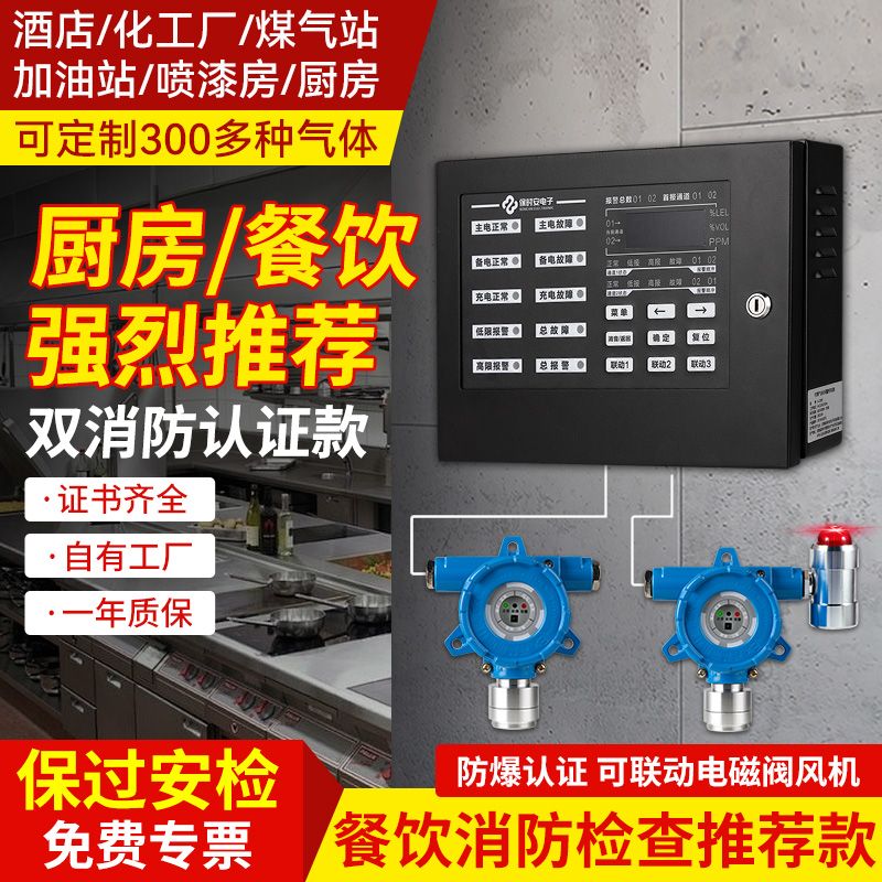 可燃气体探测报警器工业油漆有毒有害天然气液化气浓度检测仪防爆