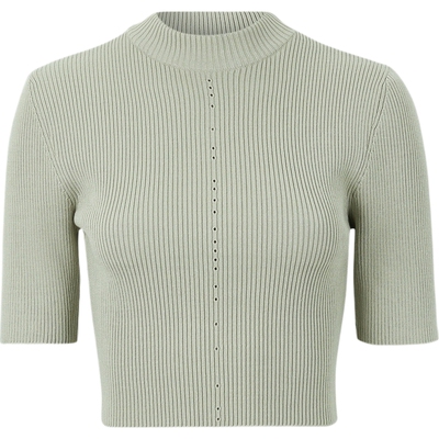 【38开门红】Hyein Seo 早春女罗纹弹力针织短款上衣