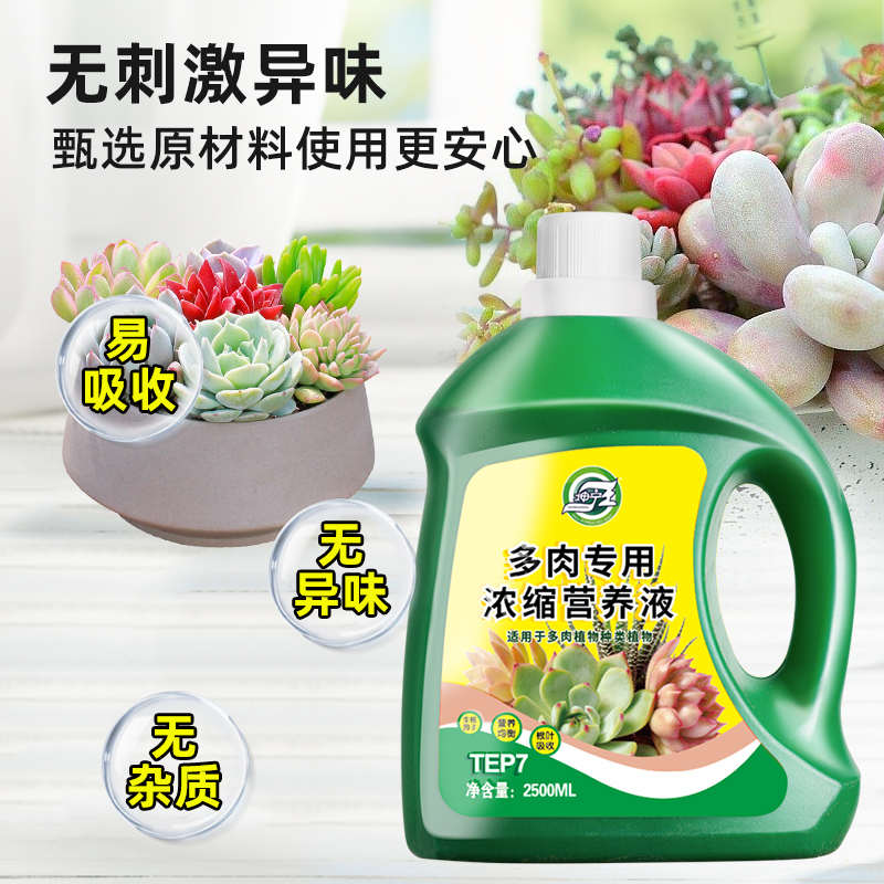 多肉肥料专用肥营养液肉肉增色生根肉多多花肥料家用盆栽通用型肥
