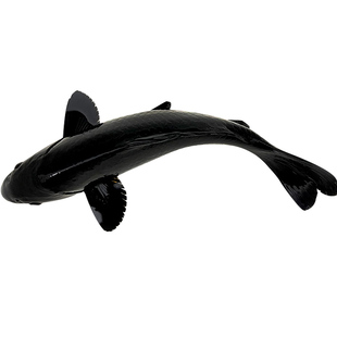 黄金锦鲤冷水鱼好养耐活淡水鱼白金龙凤锦鲤黑金锦鲤龙凤观赏鱼活