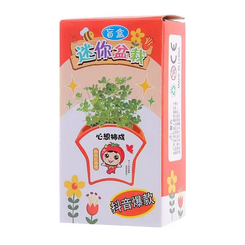 开学季儿童迷你盆栽盲盒礼物