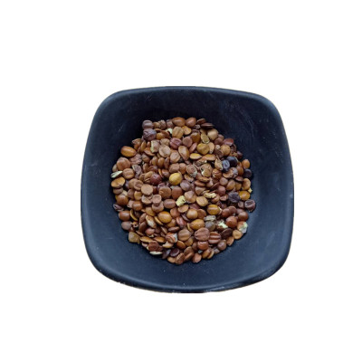 酸枣仁一斤装中药材大全店可磨粉