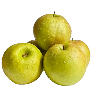 正宗山西隰县玉露香梨应季整箱水果新鲜包邮送礼8斤隰县发货