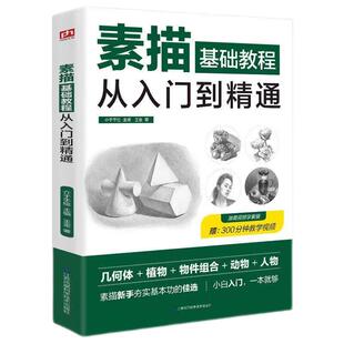 正版 素描零基础教程从入门到精通自学入门教程材铅笔手绘画从单个体石膏几何体成人美术的诀窍临摹范本到精通套人物头像速写绘画