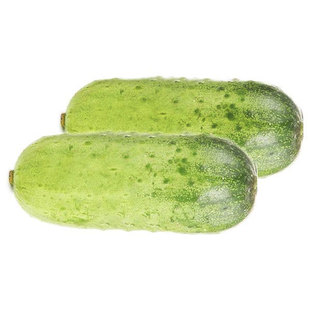 不搭架爬地小黄瓜种子种籽苗孑大全青瓜蔬菜水果菜苗秧秧苗新品种