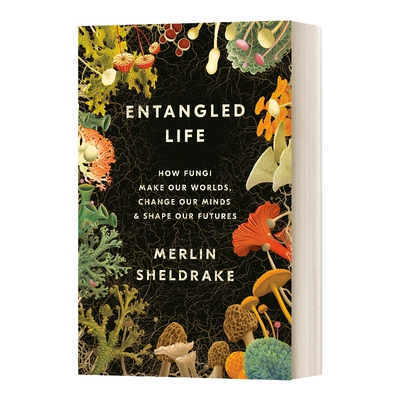 英文原版 Entangled Life 纠缠的生命 真菌如何创造我们的世界 精装 英文版 进口英语原版书籍