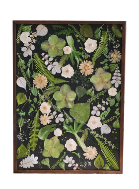 野地花园植物标本田园押花装饰画