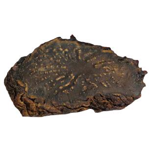 阿拉善肉苁蓉干切片油性500g泡茶水泡酒淫羊藿锁阳内蒙古