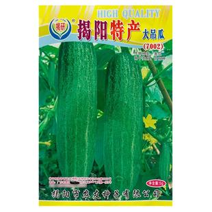 大青吊瓜种籽黄瓜籽种厚肉高产吊瓜子种青瓜种子农家春秋蔬菜种孑