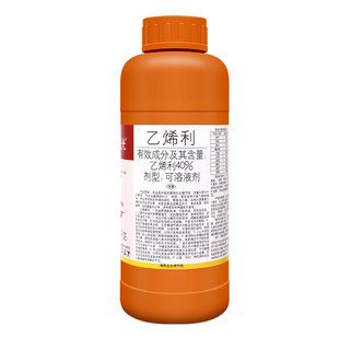 国光乙烯利 香蕉芒果番茄柿子生长调节剂核桃剥皮催熟剂1000克