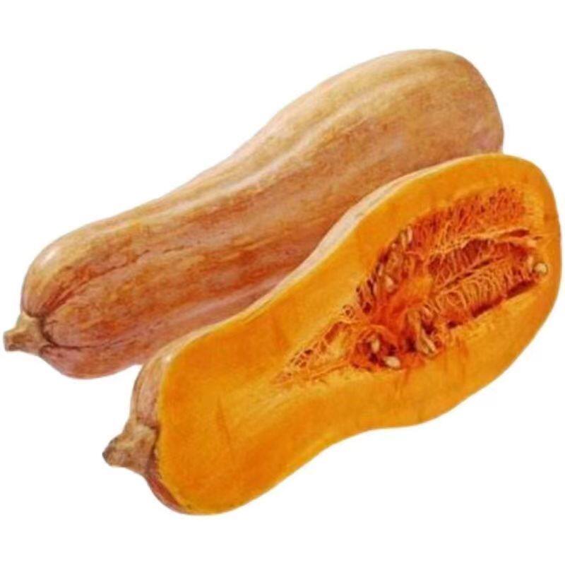 云南老南瓜农家当季新鲜南瓜