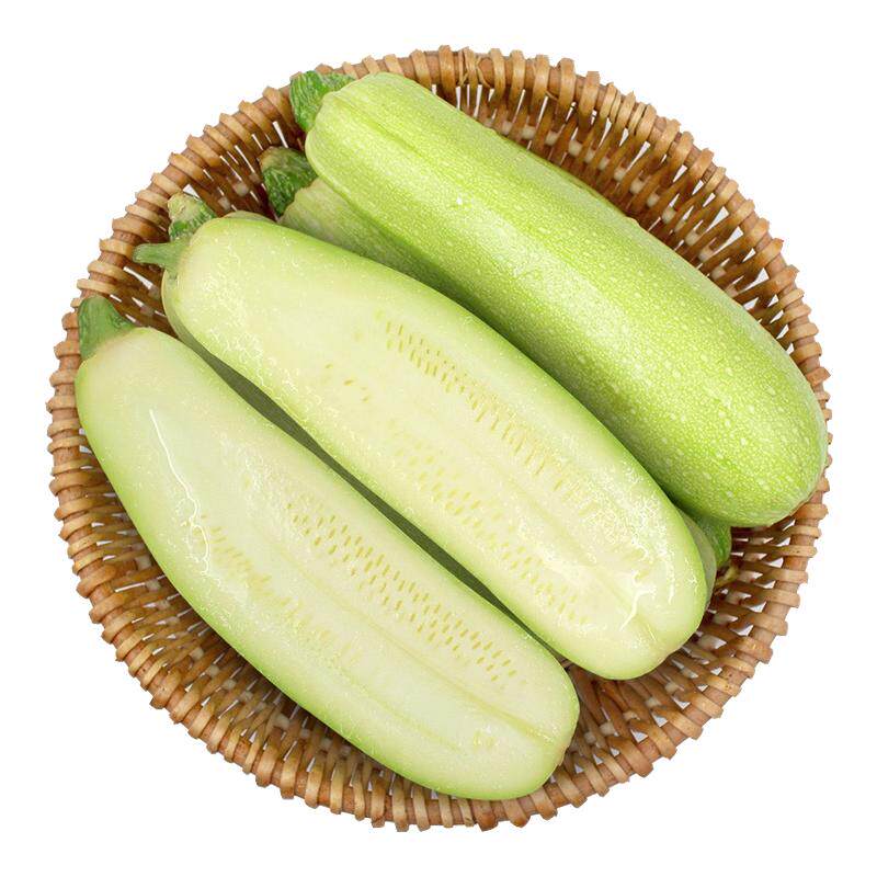 现摘西葫芦新鲜蔬菜三月瓜小嫩瓜白角瓜菜瓜茭瓜当季现摘整箱云南