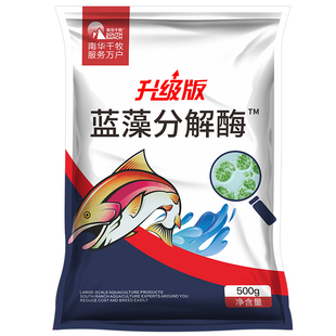蓝藻分解素分解酶分解精水产养殖小龙虾蟹鱼塘除蓝藻颤藻净毒速灭