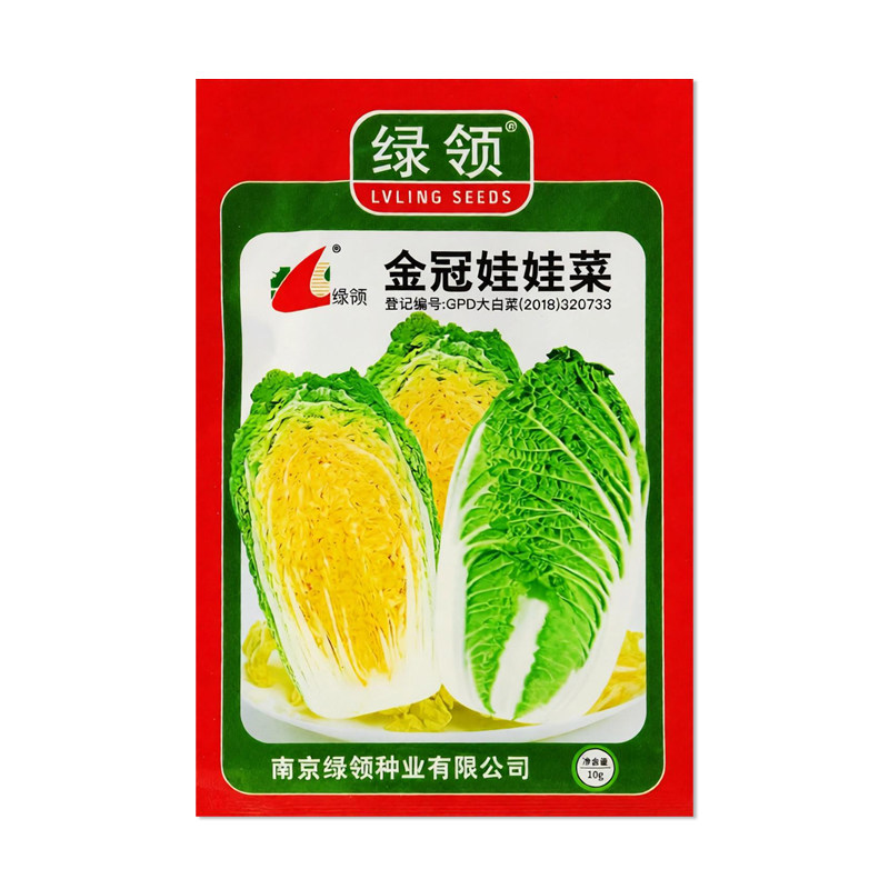 绿领金冠娃娃菜种子蔬菜种子