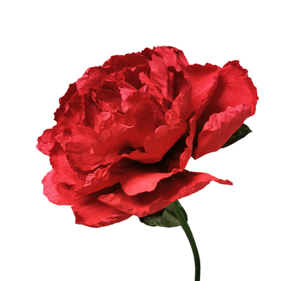 婚庆装饰路引纸花节日手工成品