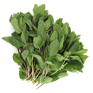 新鲜薄荷叶可食用清凉薄荷叶茶留兰香调酒烘焙西餐调酒食用香料