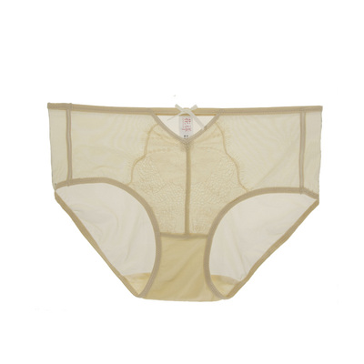 花漾性感网纱中腰提臀内裤