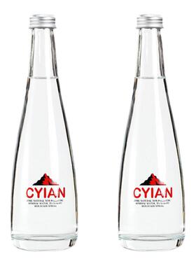 仿真依云水矿泉水玻璃瓶空瓶摆件