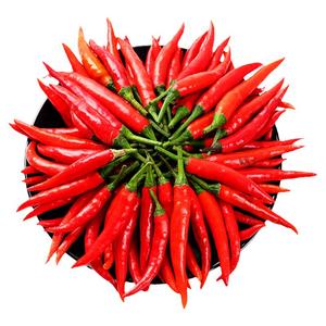 小米辣椒9斤新鲜农家自种红辣椒指朝天椒蔬菜泡椒特辣小米椒鲜辣