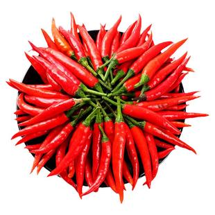 小米辣椒9斤新鲜农家自种红辣椒指朝天椒蔬菜泡椒特辣小米椒鲜辣