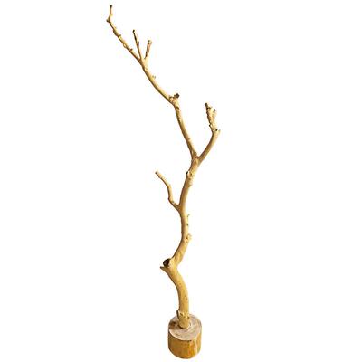 鹦鹉站架树枝鸟架无异味不长虫