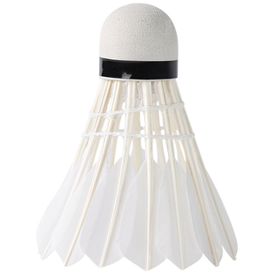 羽毛球单人训练器自动回弹自打运动练习器一个人单打家庭悬挂室内