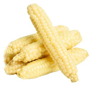 云南西双版纳拇指香糯小玉米旗舰店手指儿童新鲜嫩甜糯玉米茬真空