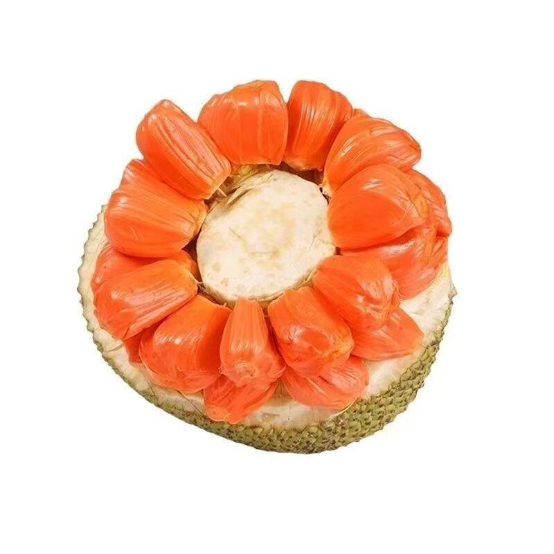 印尼红肉菠萝蜜当季新鲜脆甜