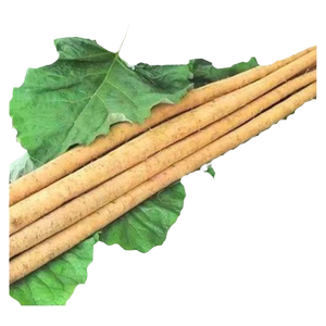现挖新鲜牛蒡根5斤黄皮送牛蒡菜