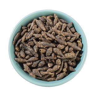 香附中药材500g香附子中药材野生香附子可选香附粉莎草根香附药材