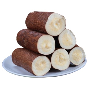 黄肉木薯新鲜黄心木署现挖面包粉糯广西农家当季木薯羹糖水店同款