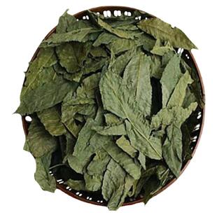 喝一杯高山古树青钱柳茶养生茶修水野生金钱柳绿茶嫩叶