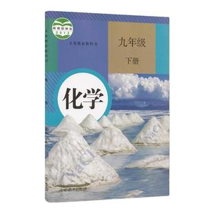 2025新版正版人教版九年级下册化学书课本9九下化学人民教育出版社部编版9九年级初三化学义务教育教科书九年级下册化学人教版
