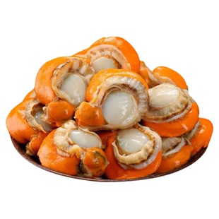 扇贝肉新鲜冷冻特级大号带黄带膏商用海鲜水产红贝批发黄蚬子鲜活