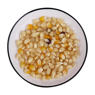 松鼠大眼飞鼠鹦鹉仓鼠兔子荷兰猪用品磨牙零食粮食饲料迷你小玉米