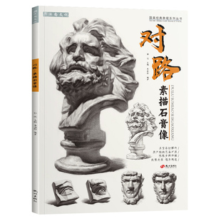 对路素描石膏像 李洪影零基础石膏头像肖像五官结构头骨照片临摹范本画册联考高考联考美术绘画入门教程学教材书籍