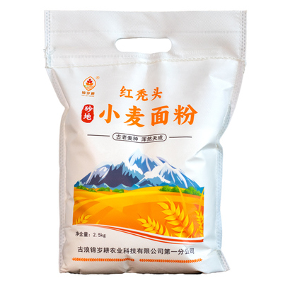 旱砂地红秃头小麦老品种小麦