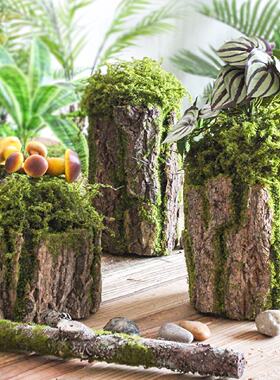 仿真绿植苔藓树皮假树桩森系幼儿园田园风青苔摆件造景装饰可插花